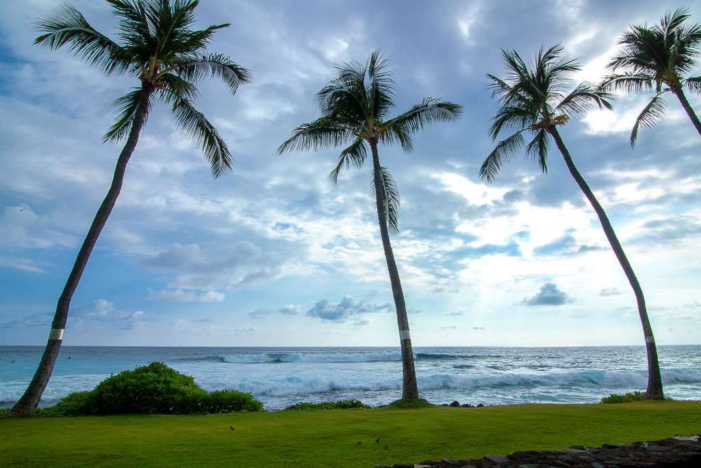 Hotel Kona Reef Kailua-Kona Pokoj fotografie